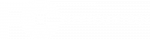 FleetControl logo option 2